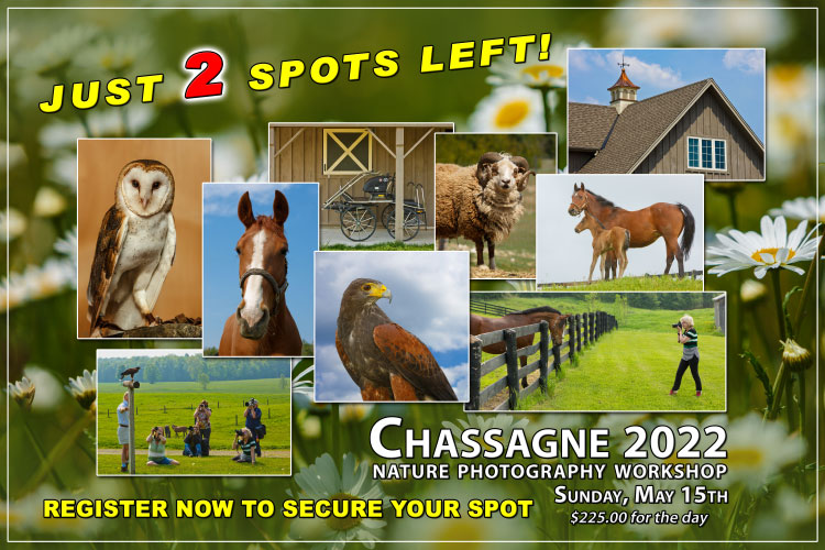 Chassagne Spring Workshop Poster